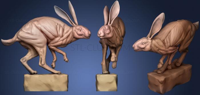 3D model Rabbit POSE1 (STL)
